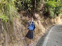 -广州市流溪河国家森林公园