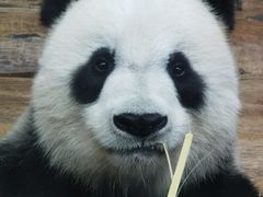 -海南热带野生动植物园