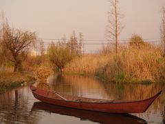 -呈贡滇池生态湿地公园