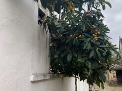 -前童古镇