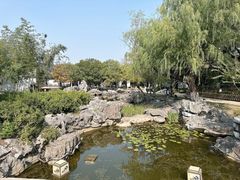 -常熟方塔园