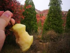 -博山九龙峪风景区