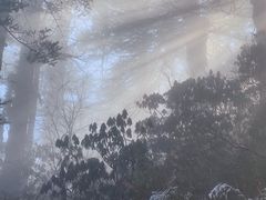 -瓦屋山景区