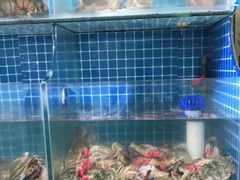 水产区-宾朋海鲜特色美食餐厅·纯手工鲅鱼水饺(兴海路店)