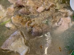 -广场正宗原汁薏米店