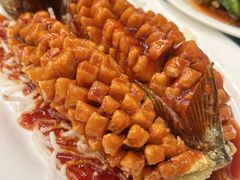 松鼠鱼-红豆园(文林街店)