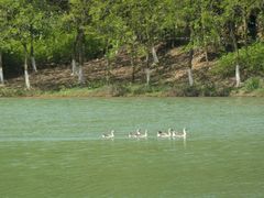 -广州白江湖森林公园