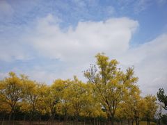 -马家湾湿地公园