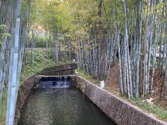 -广东温泉宾馆