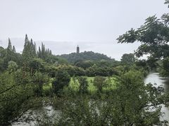 -焦山风景区