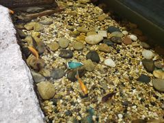 -邈墨茶馆(凤起路店)