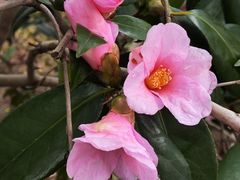 -杭州西湖风景名胜区-钱祠表忠