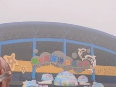 -泉城欧乐堡海洋极地世界