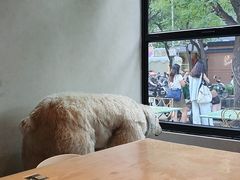 -漆黑觉米粉(三里屯店)