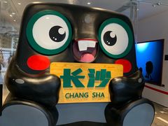 -长沙尼依格罗酒店