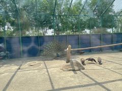 -武清南湖绿博园