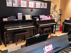 -雅歌音乐培训中心·钢琴培训·乐器培训(交道口店)