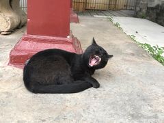 -七采菌园·石锅鱼野生菌火锅(环城北路店)