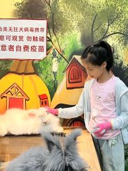 点击看大图 -神奇动物撸宠馆·羊驼·小浣熊·异宠(豫园店)
