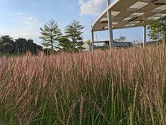 -牛岗山公园