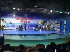 -重庆欢乐海底世界