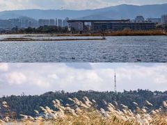 -洱海月湿地公园