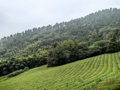 -敬亭山风景名胜区