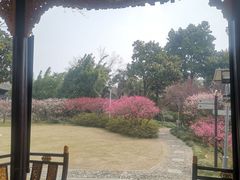 -梅园