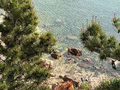 -养马岛旅游度假区
