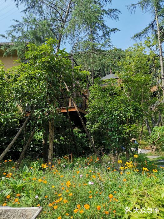 杭州开元森泊度假乐园图片