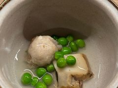-焘