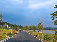 -罗浮山嘉宝田森林温泉度假酒店