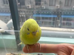 -怪兽屋·羊驼·猫咖·狗咖(俊华广场店)