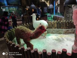 -宝燕乐园(闵行旗舰店)