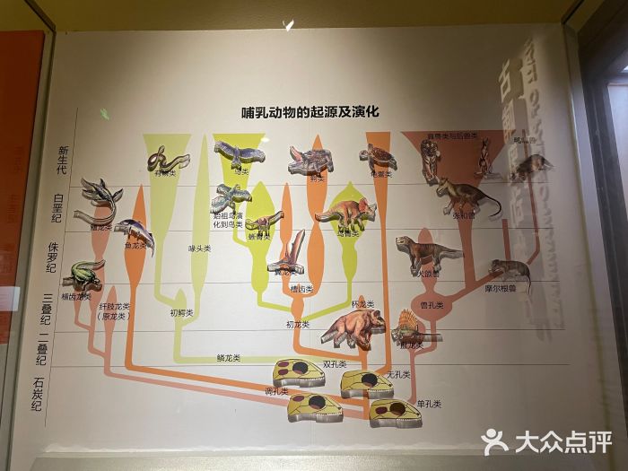 国家自然博物馆图片