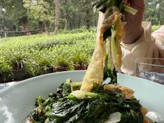 -野蔓果·山野菜(西湖景区·龙井茶田店)