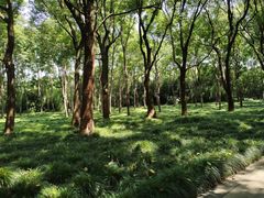 -东方绿舟景区