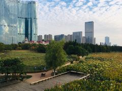 -艾溪湖湿地公园