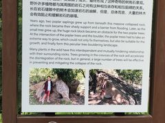-灵溪风景区