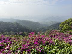 -广州市白云山风景名胜区