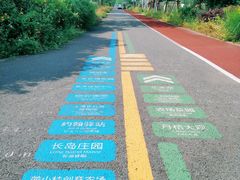 -前小桔亲子创意农场·草莓采摘·露营烧烤