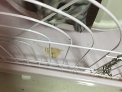 -北京派仕佳德动物医院·超导核磁·CT·神经科·骨科·内外科·急重症管理中心