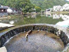 -鹿亭中村