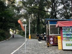 -三门江国家森林公园