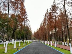 -东钱湖旅游度假区