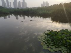 -前关湿地公园
