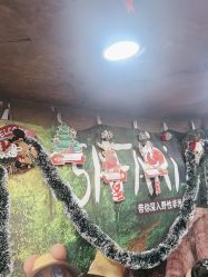 -卡通尼·Safari非洲探索乐园·生日会(金桥国际商业广场店)