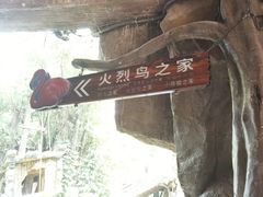 -长鹿旅游休博园