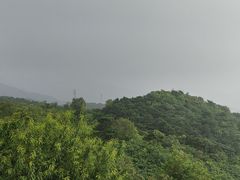 -北京西山国家森林公园