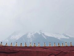 -印象丽江